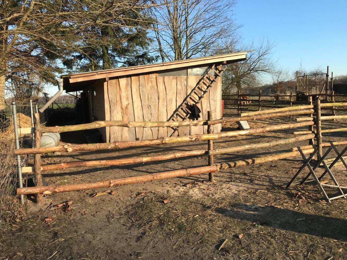 Landhaus Chlosta Buttelkow Εξωτερικό φωτογραφία